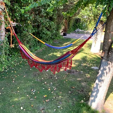 Bernarda Holiday home Viana de Cega